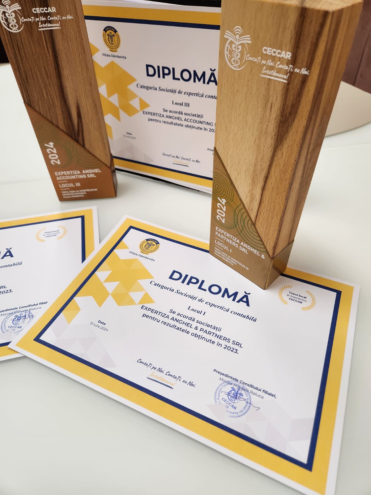 Locul I și Locul III - Topul CECCAR Dâmbovița 2024